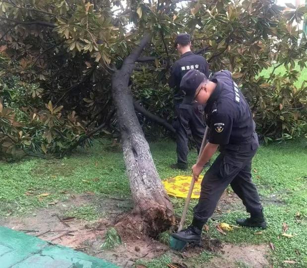 C:/Users/BA/Desktop/風(fēng)雨過(guò)后南京保安迅速行動(dòng)，恢復(fù)安“寧”面貌/10.jpg10