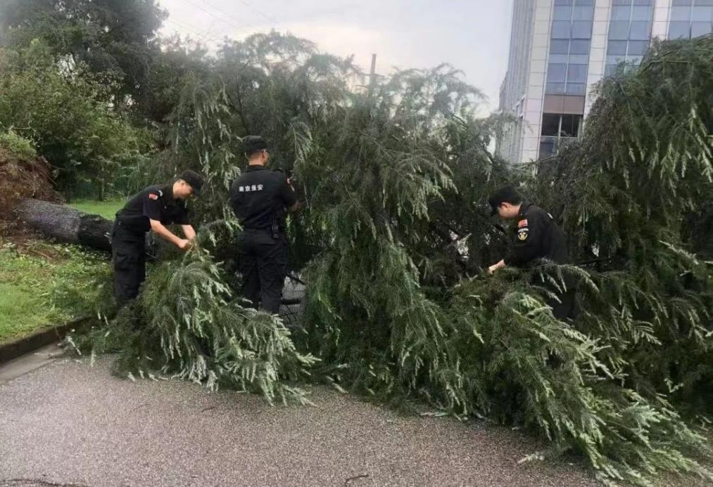 C:/Users/BA/Desktop/風(fēng)雨過(guò)后南京保安迅速行動(dòng)，恢復(fù)安“寧”面貌/1.jpg1
